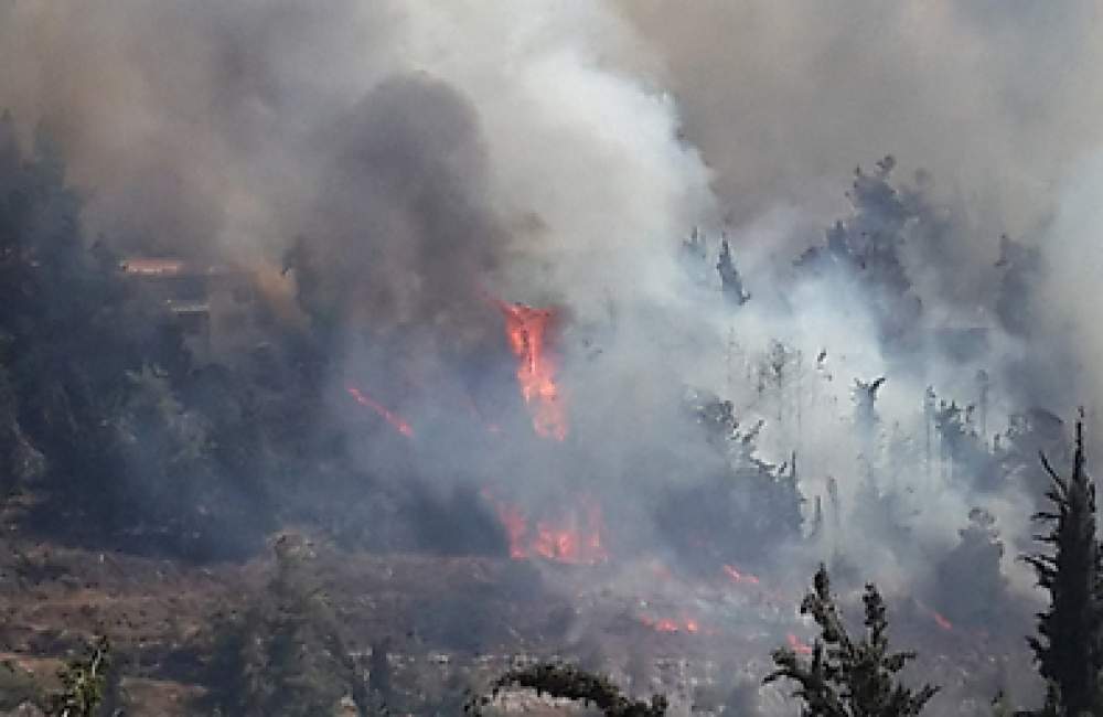 Pray with us . . . For those in the path of a massive brushfire in Jerusalem