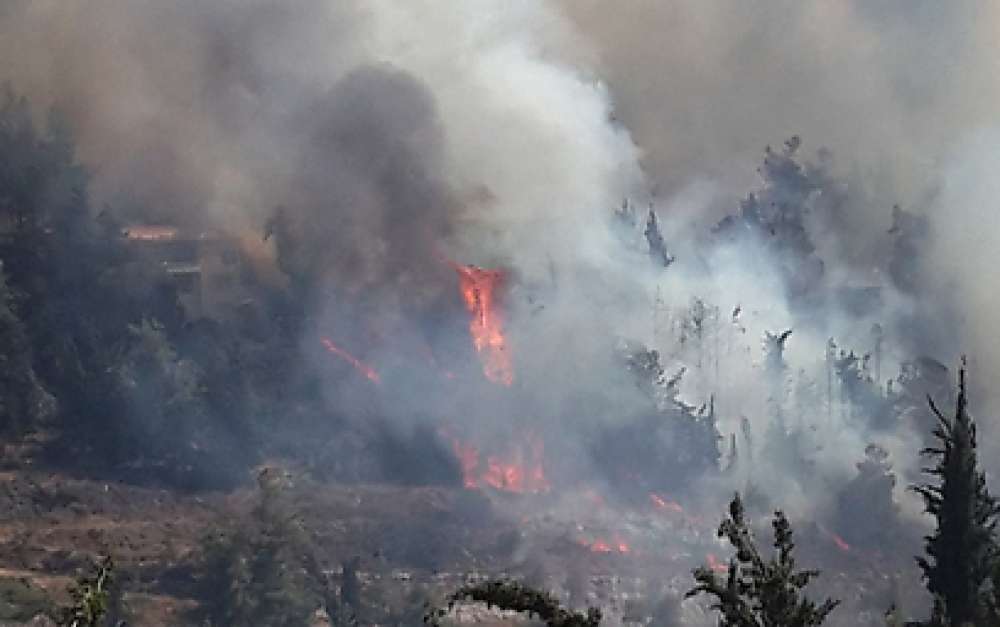 Pray with us . . . For those in the path of a massive brushfire in Jerusalem