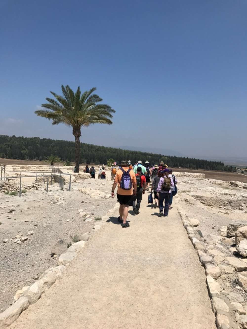 Rise & Shine! Visit The Central Coast and Jezreel Valley