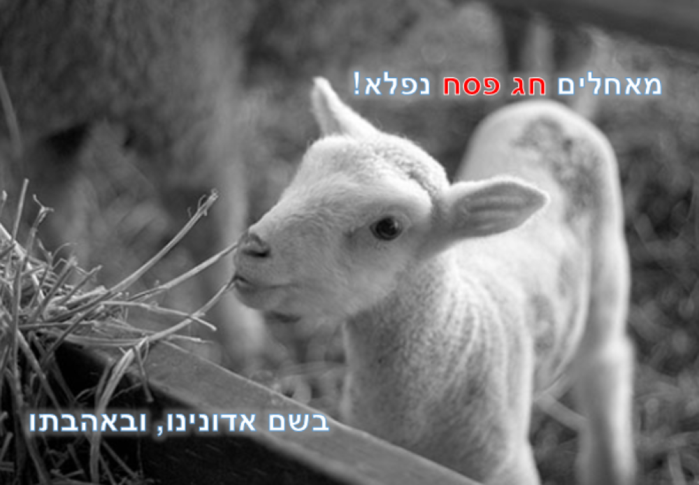 “It is the Passover sacrifice of the LORD