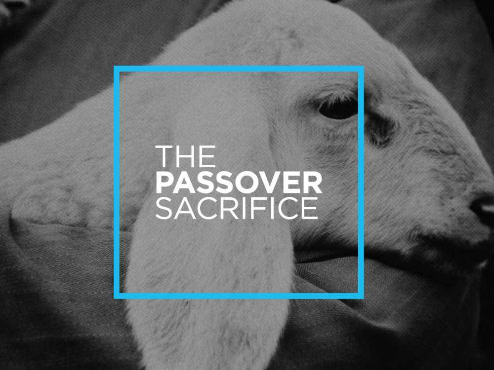 The Passover Sacrifice